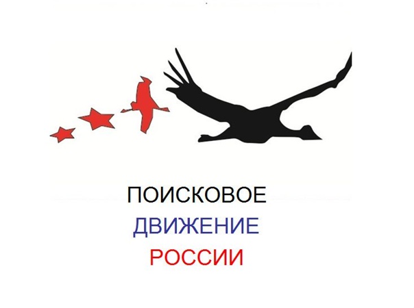Презентация поисковое движение