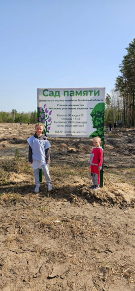 Fкции "Сад памяти".
